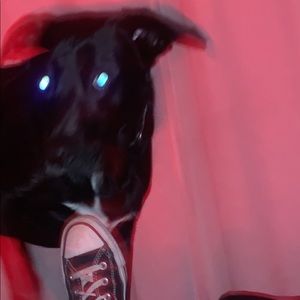 Meet your Posher, Jillian